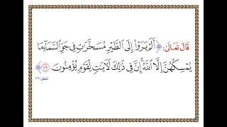 تفسير سورة النحل الآية 79 تفسير السعدي المقروء والمسموع 
