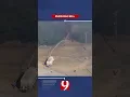 News 9 On the Go PM August 14 2026