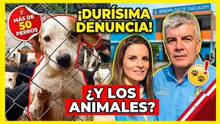 ¿Y LA EMPATÍA? Alcalde de Chaclacayo y papá de Alejandra Baigorria en el ojo de la tormenta
