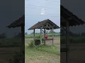 Download Lagu Idul Fitri Dino Engkang Minulyo