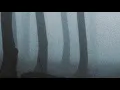 Trentemøller: Moan (Trentemøller Dub Remix)