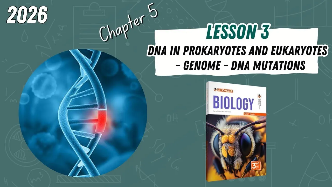 CHAPTER 5 | Lesson 3 | ELMOASSER | DNA in prokaryotes and eukaryotes - Genome - Mutations