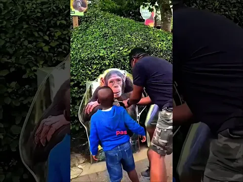 Le Défi Animalier Du Zoo Va Mettre Tes Nerfs À L’épreuve !🦁😱