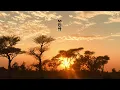 MÖRDA & Vanco - Xele (feat. Xelimpilo)