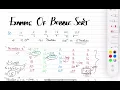 Bubble Sort Algorithm Time and Space Complexity Derivation Best Average and Worst Case
