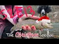 Femboy Fishing S2E13 - The Christmas Special