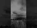 Download Lagu The Beauty of Existence | Jamal ul Wujudi جمال الوجود | Heart Touching Nasheed | Aesthetic #shorts