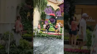 Https M Facebook Com Story Php Story Fbid Pfbid0ofdL9dHdHXJ6QwqjuGH9e1rUHWkaapCeeX7Ti2i3oXizTSCb8M 