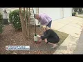 Comcast Cable