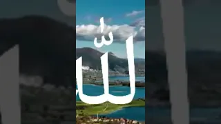 هو عالم الغيب و الشهاده الشيخ محمد صديق المنشاوي 