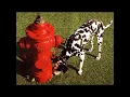 RUSH - COUNTDOWN REMASTERED