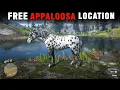 FREE APPALOOSA HORSE LOCATION TAMING - RDR2
