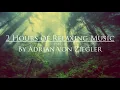 Download Lagu 2 Hours of Relaxing Music by Adrian von Ziegler (Part 3/3)