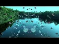 Clozee - Mirage (Tape B Remix) Microdose VR Visualizer