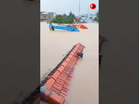 🌊 হে আল্লাহ, তুমি রহমতের মালিক 🤲 আমাদের বন্যার হাত থেকে রক্ষা করো! 😢🇧🇩