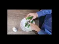 Download Lagu How to salt a fruit?