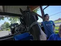 Buggy Sightings in Intercourse Pennsylvania AVENTURA EN TIERRA AMISH