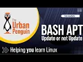 Scripting APT Updates using Bash Shell Scripts