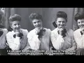 Fred Harvey Collection