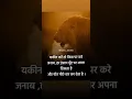 जनाब / whatsapp best motivation status / instagram motivational video