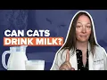 Can Cats Drink Milk