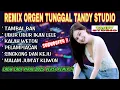 REMIX ORGEN TUNGGAL TANDY STUDIO❗Lagu lagi viral 2025 versi remix❗Tambal ban, Ubur ubur ikan lele