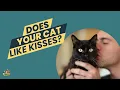 DO Cats REALLY Understand Kisses