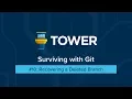 Surviving with Git Recovering a Deleted Branch