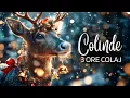 Lagu 3 ORE COLAJ COLINDE DE CRACIUN 2026 🎄❤️ Cele Mai Ascultate Colinde