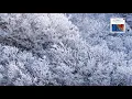 Rachmaninov : Piano Concerto No.2 in C minor, Op.18 / Ashkenazy 1984