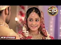 Download Lagu Criminal की सच्चाई पता लगाने Purvi बनी दुल्हन | CID New Episodes | Crime Stories