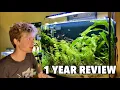 Complete 1 Year Overview Of my 36 Gallon Top Fin Bowfront Aquarium