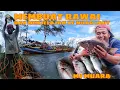Download Lagu MEMBUAT RAWAI DAN MENJELAJAHI SUNGAI SAMPAI KE MUARA LAUT||JUMPAT SPOT KAKAP MERAH