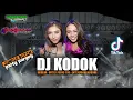 DJ. kodok MORENA ENTE KADANG KADANG - WONG BEBAS PROJECT