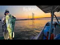 Offshore Fishing Delaware BIG SURPRISE