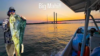 Offshore Fishing Delaware BIG SURPRISE