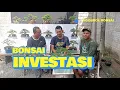 Download Lagu 💰 Hobi Bonsai Bisa Jadi Cuan Besar?! Simak Obrolan di Galeri Gegara Bonsai