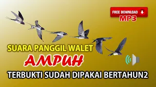 suara panggil walet terbaik sudah terbukti ampuh dipakai bertahun2