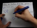 Why is Sulfur Dioxide Polar