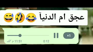 عجق ام الدنيا تسجيل صوت مضحك جدا   دندنها