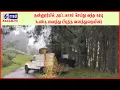 Download Lagu குன்னூர்யில் அட்டகாசம் செய்து வந்த கரடி : கூண்டு வைத்து பிடித்த வனத்துறையினர் | #RAGAMNEWS