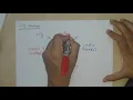 Intro to 2D waves