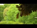 北の国から 遥かなる大地より~蛍のテーマ./さだまさし