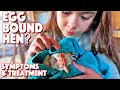 Can We Save Her Egg Bound Chicken Or Not