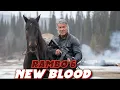 Download Lagu Rambo 6: New Blood (2025) – The Return of John Rambo | Fan made Concept Trailer
