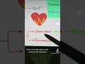 Adenosine
