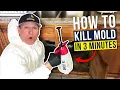Download Lagu Black Mold - How we get rid of mold in under 3 min!