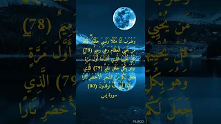 وضرب لنا مثلا ونسي خلقه قال من يحيي العظام وهي رميم الشيخ احمد بن طالب حميد Shorts قرآن أحمد طالب 