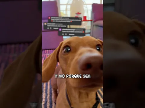 PASÉ EL MEJOR DÍA DE MI VIDA 🐶🐾😱 ​⁠gracias a @Hill's Pet Nutrition México