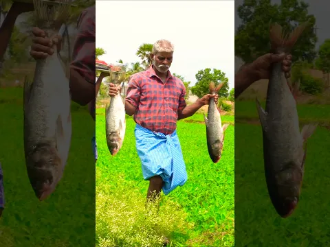 Whole Fish Cooking #shorts